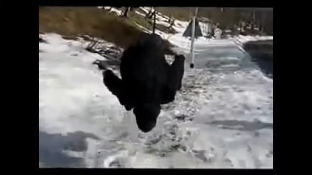 Новогодняя Реклама CocaCola 