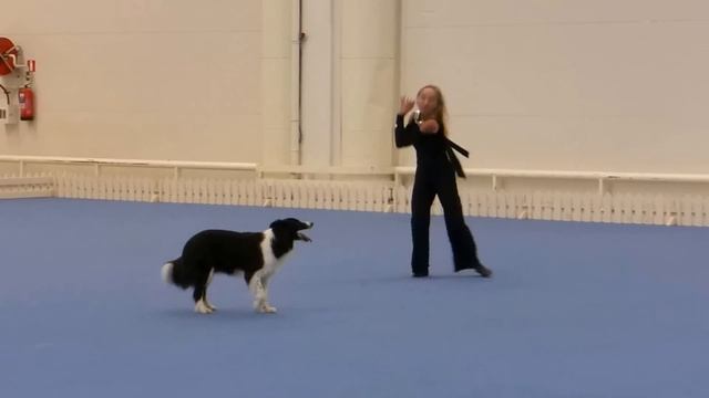 Yvonne Belin, World Championship 2014 Helsinki, the final смотреть онлайн