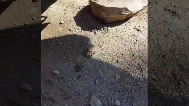 Универсальный инструмент смотреть онлайн