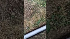 Монтаж канализации дома и на улице (по уровню)