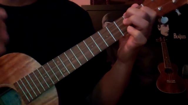 BEATLE-LELE MANIA: "DON'T BOTHER ME" COVER #37 смотреть онлайн