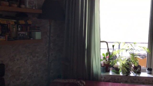 Wi-Fi реле Sonoff Basic (ITead) и ассистент Google