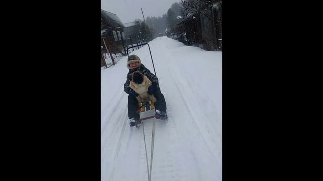 Снегоход (23 февраля) смотреть онлайн