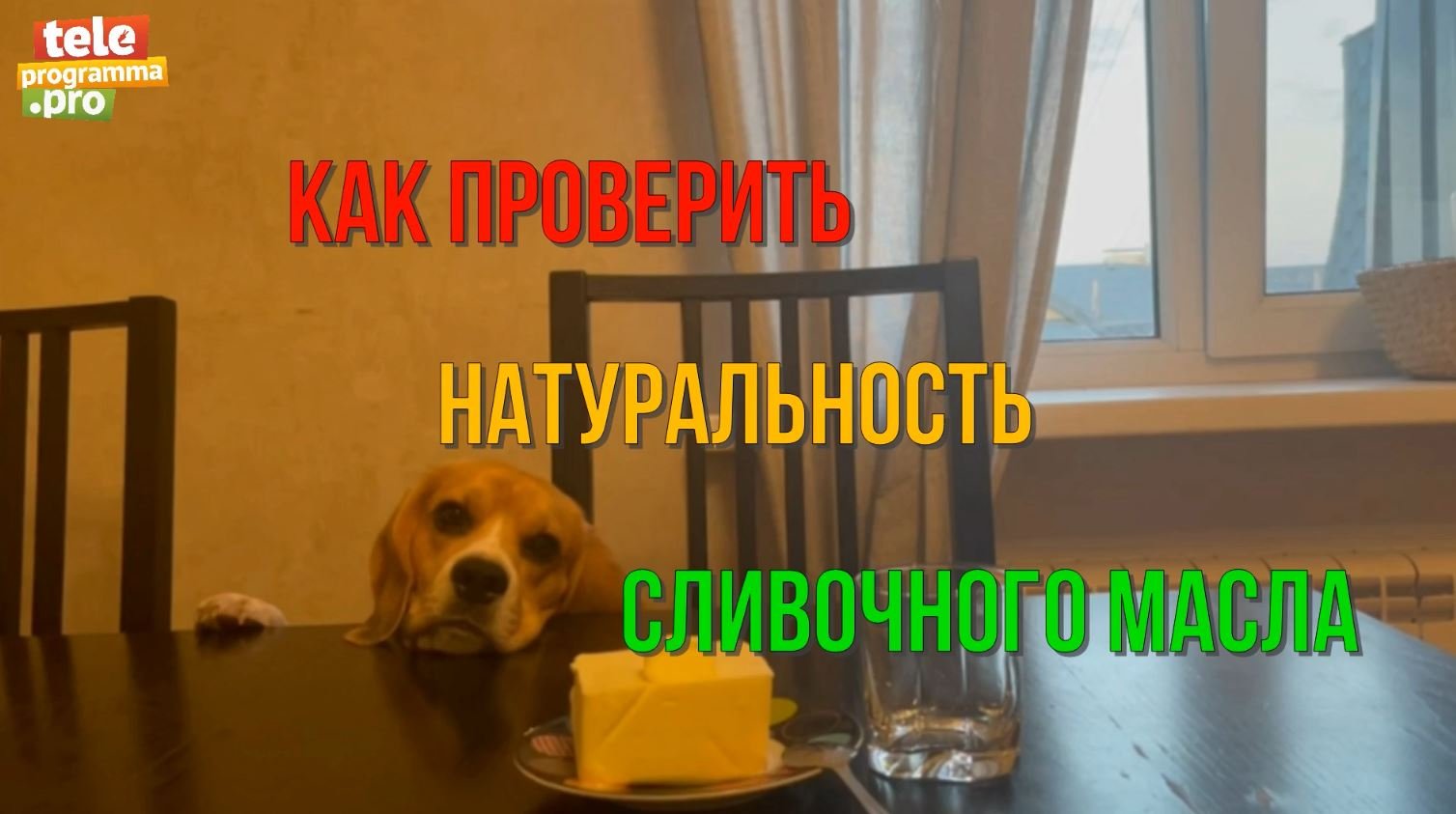 Как проверить сливочное масло на вшивость смотреть онлайн