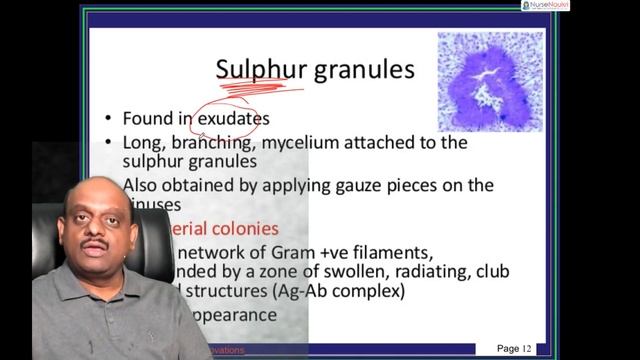 NEET MDS 2021 Coaching Pathology Topic 03 Infections Call 9000868356 to Join Video Library смотреть онлайн