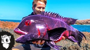 ЕСЛИ БЫ ЭТУ РЫБУ НЕ СНЯЛИ, НИКТО БЫ НЕ ПОВЕРИЛ ЧТО ОНА СУЩЕСТВУЕТ [Белый кот]