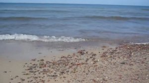 Побережье Балтийского моря. Калининградская область