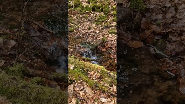 Лесной ручей. Звук воды для релаксации