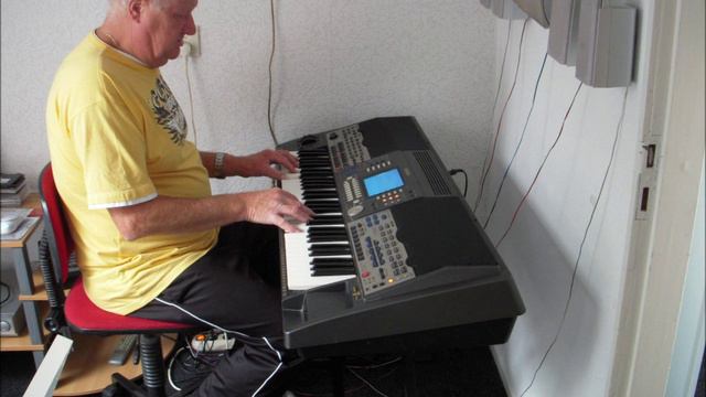 Juanita, gespeeld door Willie Brouwer op Yamaha PSR 9000 смотреть онлайн