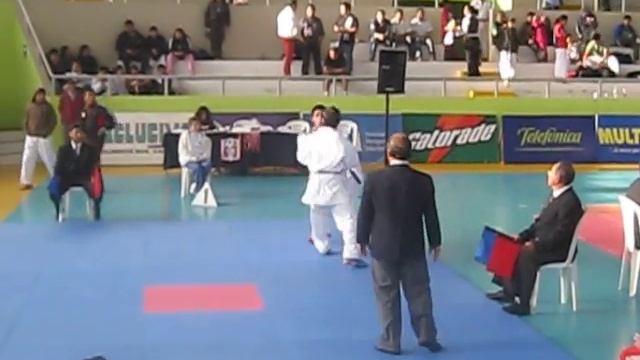 DOJO ALVARADO KENDO VS JESUS PAUCARCAJA CAMPEONATO NACIONAL DE KARATE 2010 смотреть онлайн