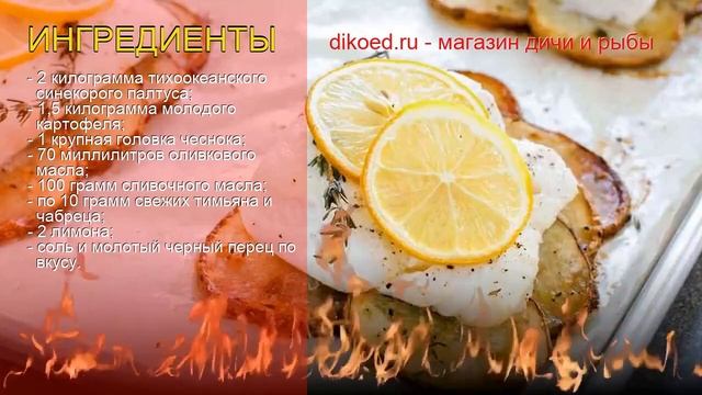 Путешествия Вокруг Света