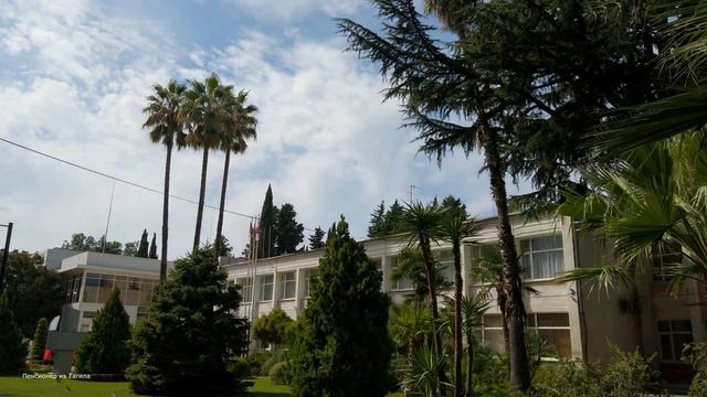 Адлер 2023. Самые вкусные плюшки в Адлере, какие они и куда я за ними ходил. Серия 10. 4к. смотреть онлайн