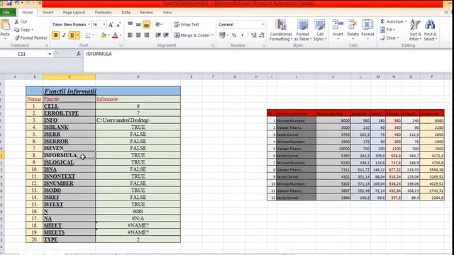 Goanta Victor-Herghelegiu Andreea-Pricop Rares 11E FunctiideInformatii Excel смотреть онлайн