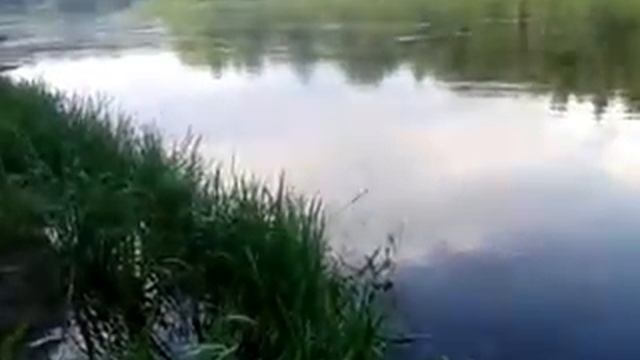 рыбачим и отпускаем на реке Нерис,Ожкиняй,Литва.