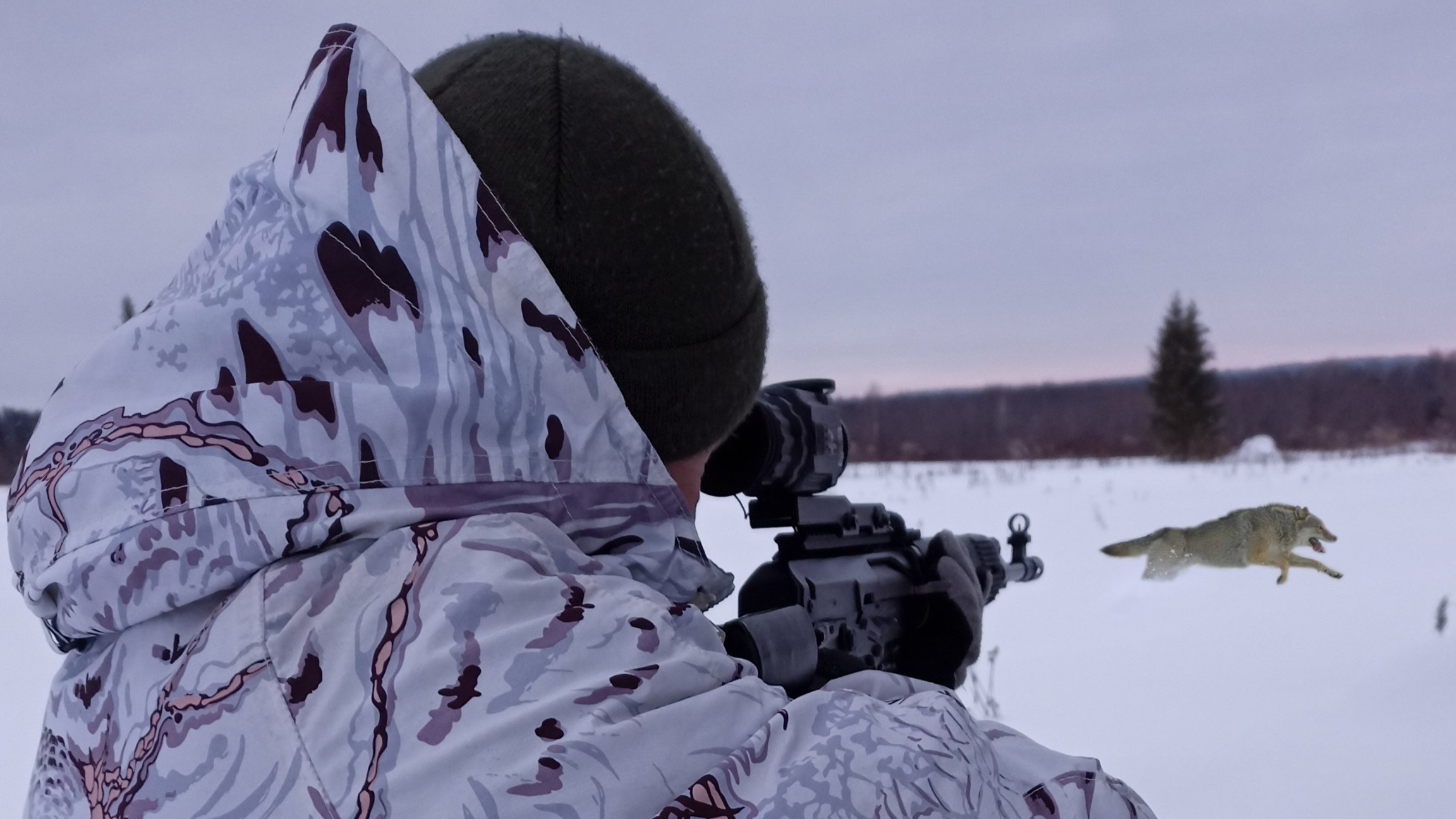 Охота на Волков на Вабу и на Приваде зимой 2024. 18+ смотреть онлайн