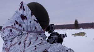 Охота на Волков на Вабу и на Приваде зимой 2024. 18+