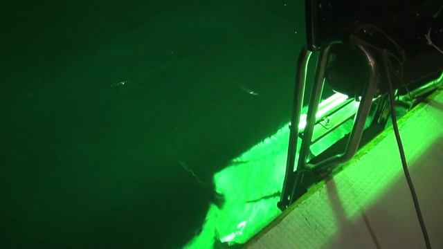 Огромная Манта атакует корабль. смотреть онлайн