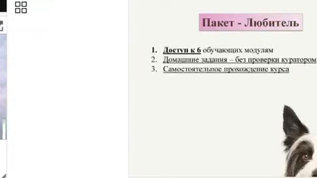 Первые дни собаки в доме смотреть онлайн