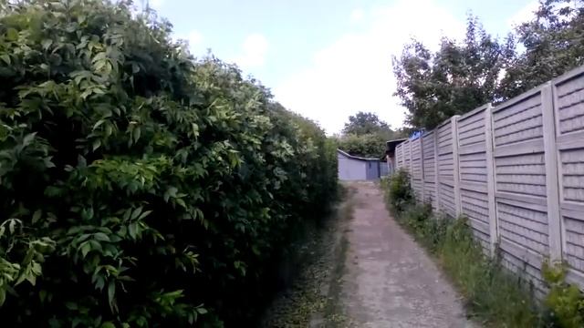 живая изгородь смотреть онлайн