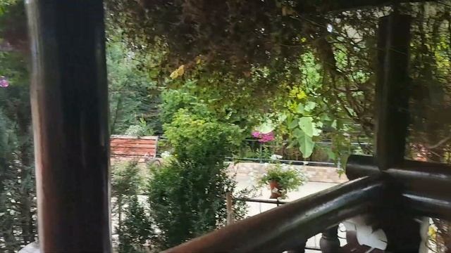 Отдых в лагонаках?⛰Гостевая Усадьба станица Даховская! смотреть онлайн