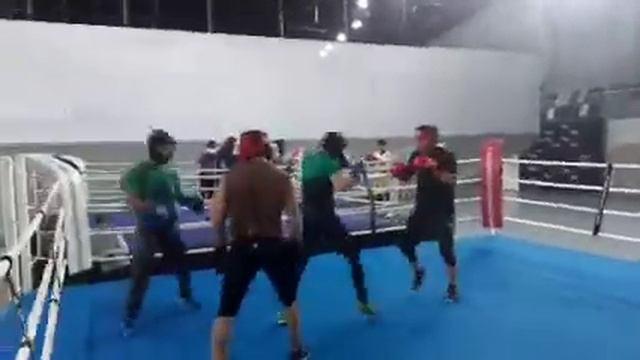 Зборный ТМ по боксу смотреть онлайн