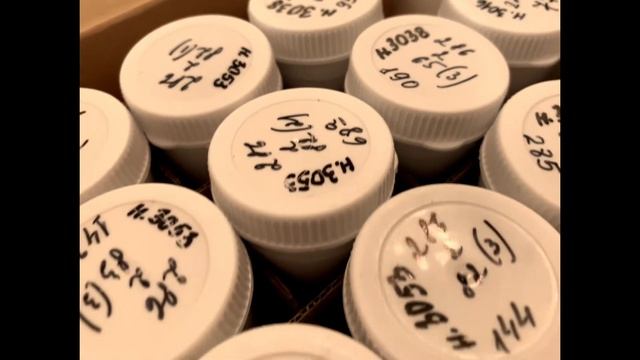 Архивы. Поиск информации о родословной в российских государственных архивах. РГАДА. #родословная смотреть онлайн