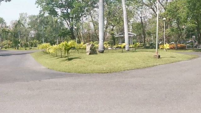 Chatuchak Park смотреть онлайн