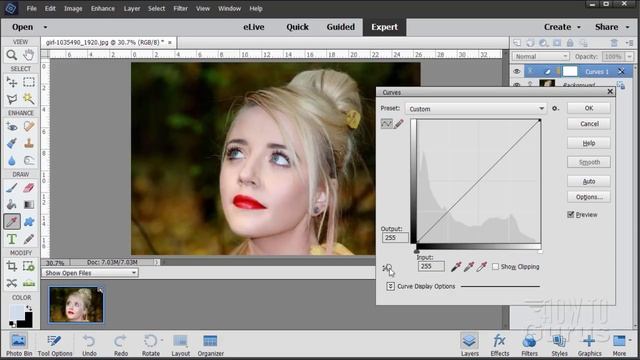 How You Can Use Photoshop Elements to Adjust Color Curves & Elements Plus Color Curves Tutorial смотреть онлайн