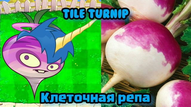 РАСТЕНИЯ В РЕАЛЬНОЙ ЖИЗНИ | ПЕРСОНАЖИ ИЗ ИГРЫ РАСТЕНИЯ ПРОТИВ ЗОМБИ | PvZ 2 | Plants vs zombies 2. смотреть онлайн