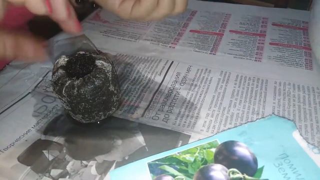 Натальи "огород с любовью"-посадка помидоров. смотреть онлайн