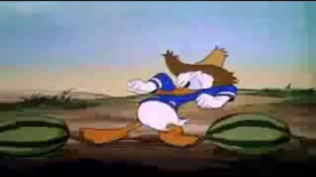 Donald Duck Cartoons A17