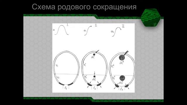 Акушерство №14 