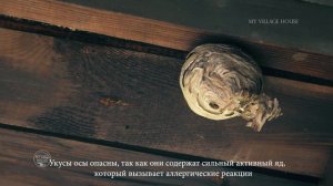 Как убрать ОСИНОЕ ГНЕЗДО