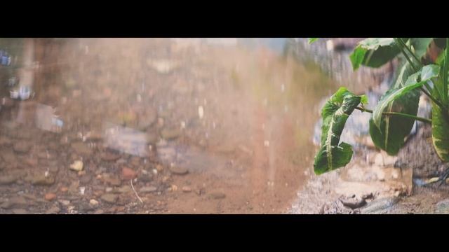 Helios 44-2 58mm F2 Anamorphic Mod on Fujifilm XT20 | 4K смотреть онлайн