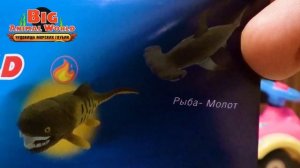 BIG ANIMAL WORLD Чудовища морских глубин АКУЛА МОЛОТ РЫБА МОЛОТ как ДЕАГОСТИНИ DEAGOSTINI распаковка