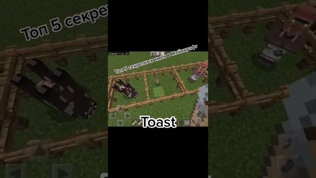 Лайфхаки в Minecraft номер 4??? #shorts #minecraft #minecraft