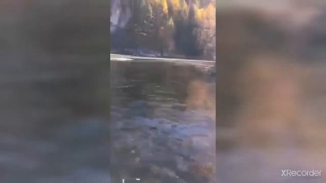 Свердловская область. Загрязнение рек медным купоросом смотреть онлайн