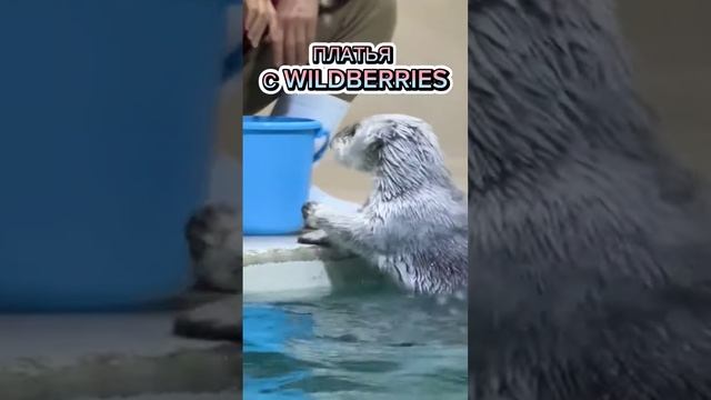 ПЛАТЬЯ С WILDBERRIES #shots #youtube #рекомендации #wildberries #платья #платье смотреть онлайн