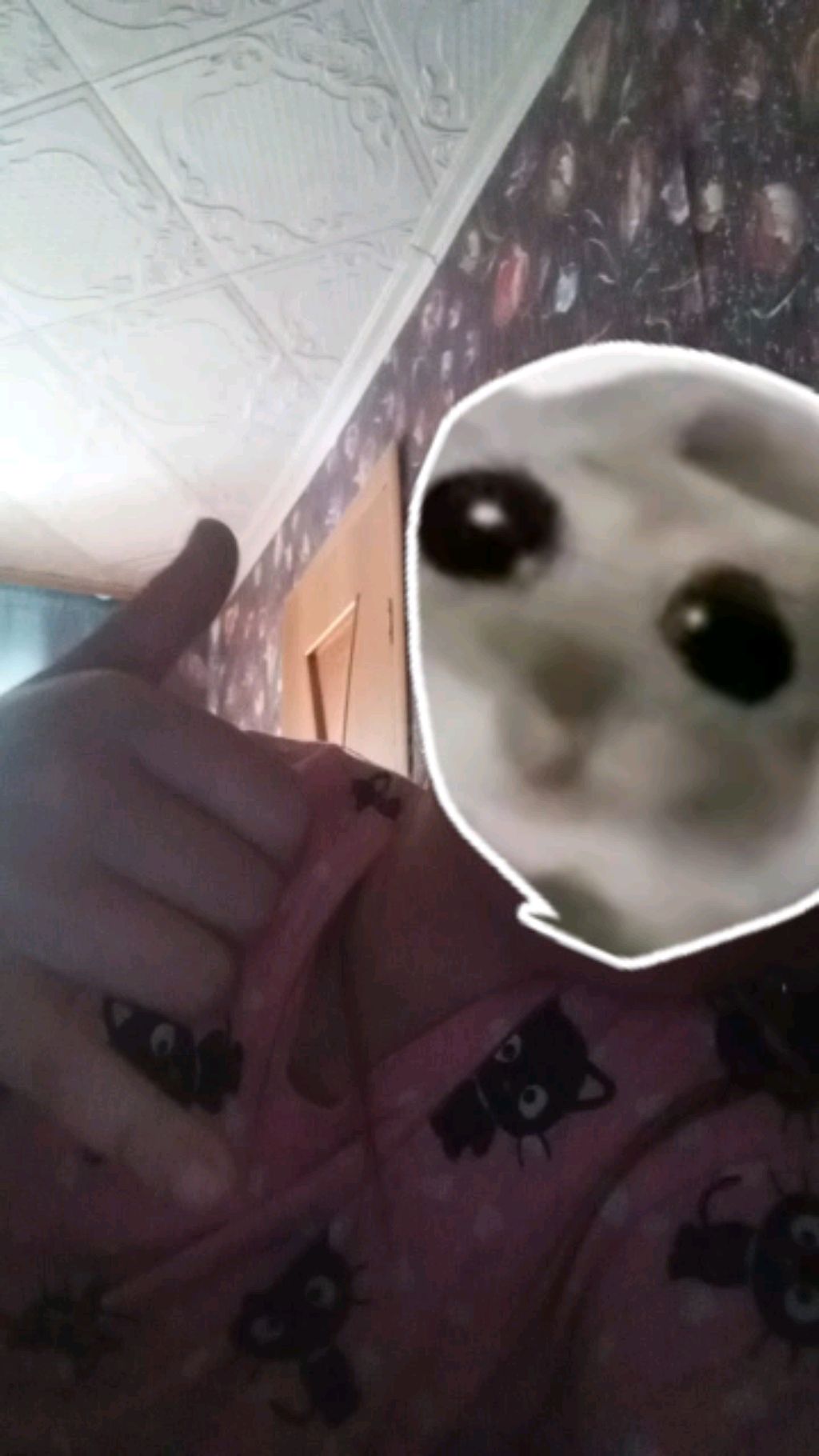 сестры