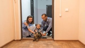Кошки от А до Я.