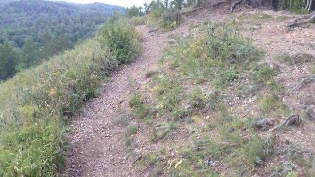 Бобровый лог _ Кошеваровы Александр и Наталья смотреть онлайн