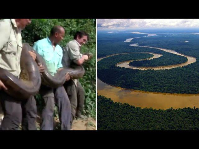 САМЫЕ ЖУТКИЕ и ОПАСНЫЕ ЖИВОТНЫЕ АМАЗОНИИ смотреть онлайн