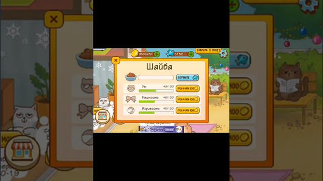 Игра в котиков смотреть онлайн