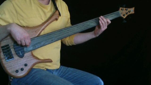 Access Fretless Bass by BEE Basses смотреть онлайн