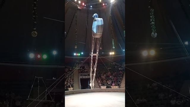 Гимнаст на центрифуге. Курский цирк. Октябрь 2023 г. смотреть онлайн