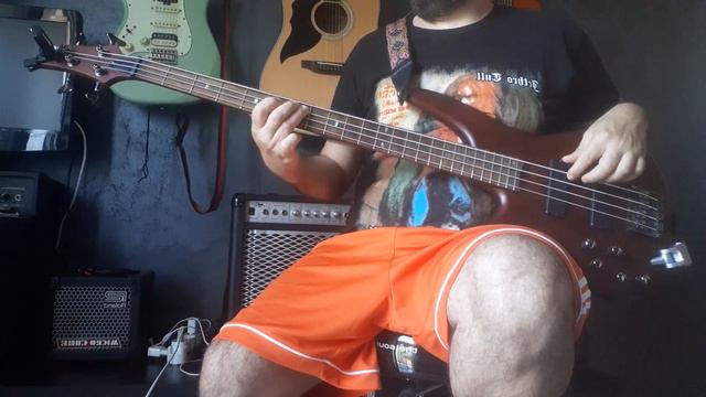 365 Bass Cover - 14 - Talking about a Revolution - Tracy Chapman - Ibanez Sr 500 bass and cubebaby смотреть онлайн