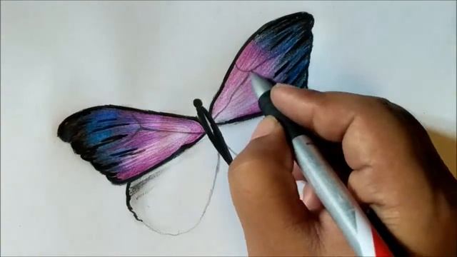 How to Draw Colourful Butterfly Amazing Drawing in 3D смотреть онлайн