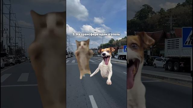 Узнали себя?? смотреть онлайн