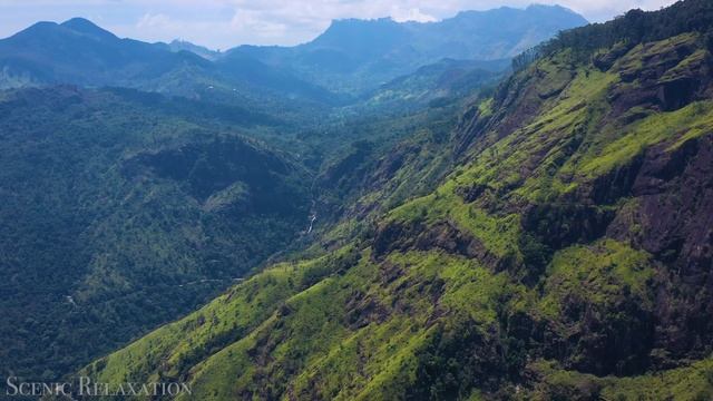 Шри-Ланка 4K - Живописный Расслабляющий Фильм С Успокаивающей Музыкой. смотреть онлайн
