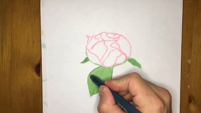 Как нарисовать цветок "пионы" ??? смотреть онлайн